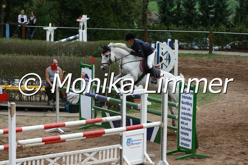 204M0881_Feivel the mouse_Spring_Mx.JPG